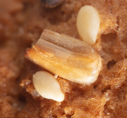 Sesame and sunflower seeds on toasted bread.