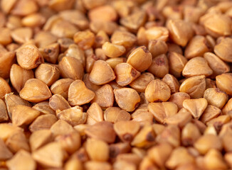 Close-up of buckwheat groats as background.
