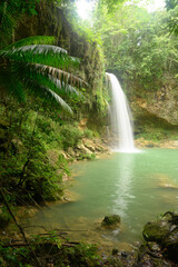 Obraz premium Mountain river and exotic landscape waterfall HD