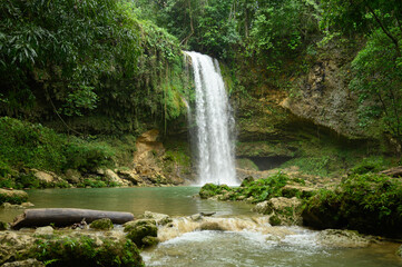 Idelyc cascade in tropical south american country