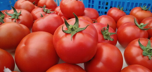 Delicious fresh beef tomatoes.