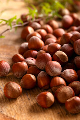 a hazelnuts nuts in shell on wooden board