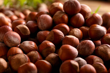 a hazelnuts nuts in shell on wooden board