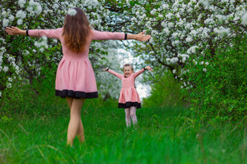 mother and daughter are walking through a blooming apple orchard