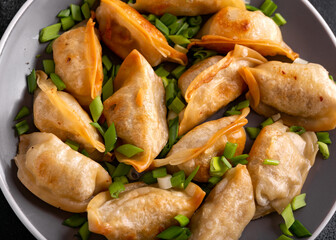 Deep fried crispy gyoza with spring onion. Asian food