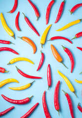 Hot chili dynamic pepper background. Hot red, yellow, orange peppers on blue, natural spices, top...