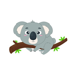 Fototapeta premium Australian cute koala on a eucalyptus branch. Koala on white backgriund. Vector illustration for designs, prints and patterns.