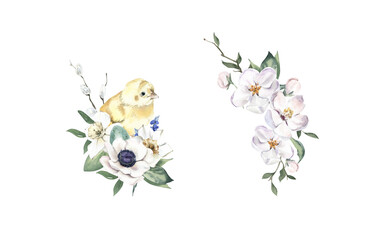 Watercolor Bouquets with Chick, Anemone and Apple Blossom.