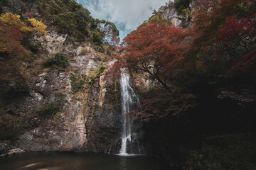 Fototapeta na wymiar 紅葉と滝