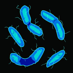 Group of Aquificales bacterias on black background, vector illustration