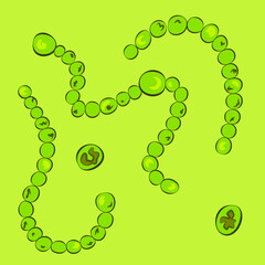 Group of Cyanobacteria on green background, vector illustration