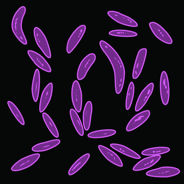 Group of Bacteroidetes on black background, vector illustration