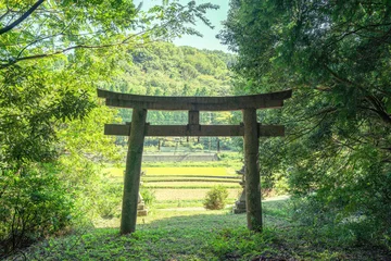 Fototapeten 田舎の神社の鳥居 © Ritsuto Hayashi