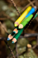 Lapices de colores