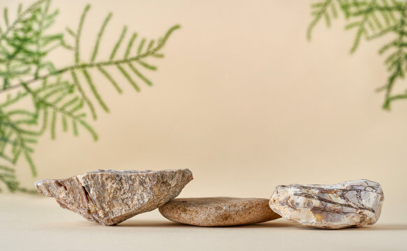 Natural Stone Podium  With Green Leaves. Background For Perfume, Jewellery And Cosmetic Products. Front View