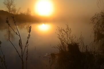 Fototapeta premium Sunrise at coast of the lake. Nature landscape. Reflection, blue sky and yellow sunlight. Landscape during sunrise. High quality photo