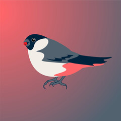 bullfinch female with a red berry sits on a gradient red-gray background