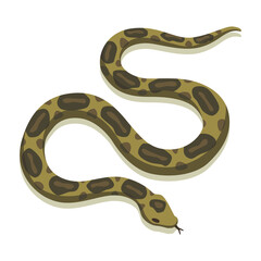 Fototapeta premium Venomous snake. Danger color animal. Poisonous reptile crawl. Decorative character, wildlife nature animal