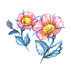 Flower with leave. Provence felt pen illustration.