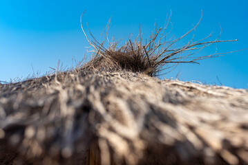 Thatched beach parasol in close-up at the playa San Sebastian on the island of La Gomera