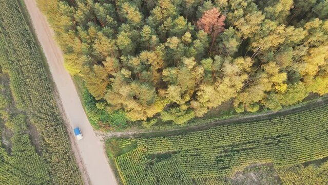 Aerial top down view of the forest, field and the road. Drone is zoom in