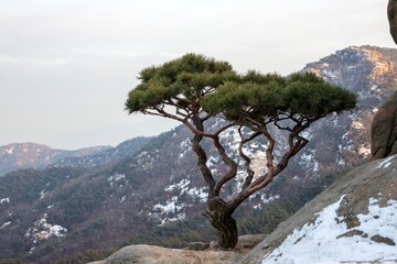 Obraz premium 관악산