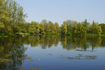 Fototapeta na wymiar Gewässer Rheinaue Bonn