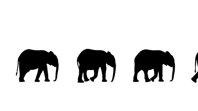 Walking elephants, animation on the white background (seamless loop)
