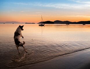 Paraty, Rio de Janeiro, Brasil: Amanhecer na praia de Jabaquara 