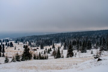 winter in the mountains