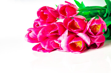 Bouquet of pink tulips isolated on white background with clipping path