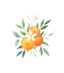 Orange citrus watercolor bouquet isolated on white background. Summer citrus watercolor print. 