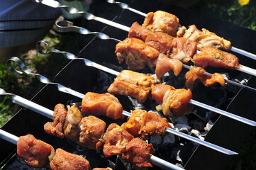 Picnic Skewer Meat Pork on Mangal Shampoos