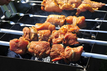 Picnic Skewer Meat Pork on Mangal Shampoos