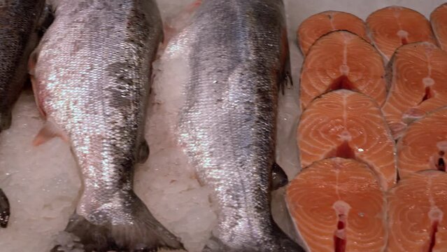 Chilled trout on ice. The counter of a fish store.