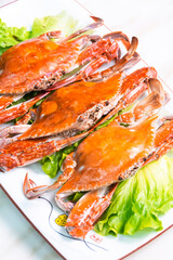 grilled salmon steak with salad