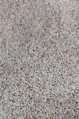 Cappuccino powder as a texture