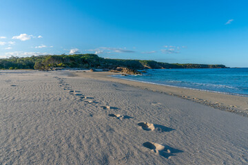 footprints on the beach