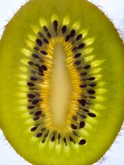 juicy green kiwi slice on the table