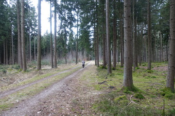 Sch&ouml;ne Landschaft in Donau-Ries