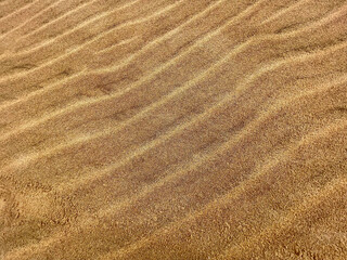Fototapeta na wymiar sand texture in the desert waves