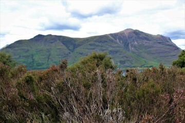 Beautiful mountain in Scotland with heather flowers in the foreground and cloudy sky in the background