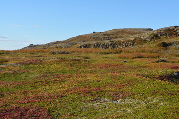 moss-covered hills and clear blue sky