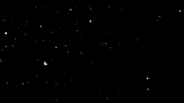 Falling snowflakes animation loop with Alpha channel. Snow overlay 