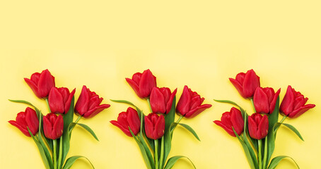 Composition beautiful red tulips on yellow background. Flowers background.Top view, copy space.