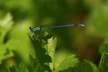 _DSC20130720M4