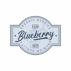 Blueberry Abstract Vector Sign, Symbol or Logo Template. Hand Drawn Blueberry Sketch.