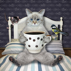 An ashen cat is drinking coffee in bed at home.