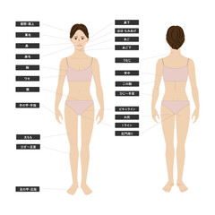 若いアジア人女性の脱毛エステの全身の箇所指示白バックのイメージイラスト図