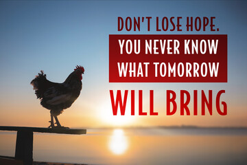 Don't Lose Hope You Never Know What Tomorrow Will Bring. Inspirational quote saying about patience,...